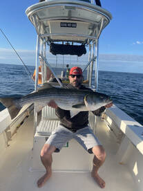 Narragansett Report Photo 2