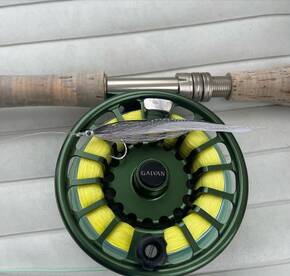 Another 50+ lb bass on fly