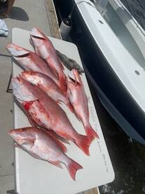 Jacksonville Report Photo 1