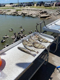 Galveston Report Photo 2