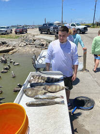 Galveston Report Photo 1