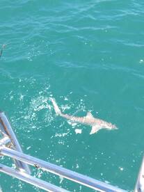 Port Canaveral Report Photo 1