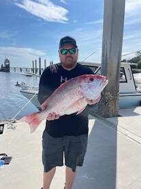 Jacksonville Report Photo 1