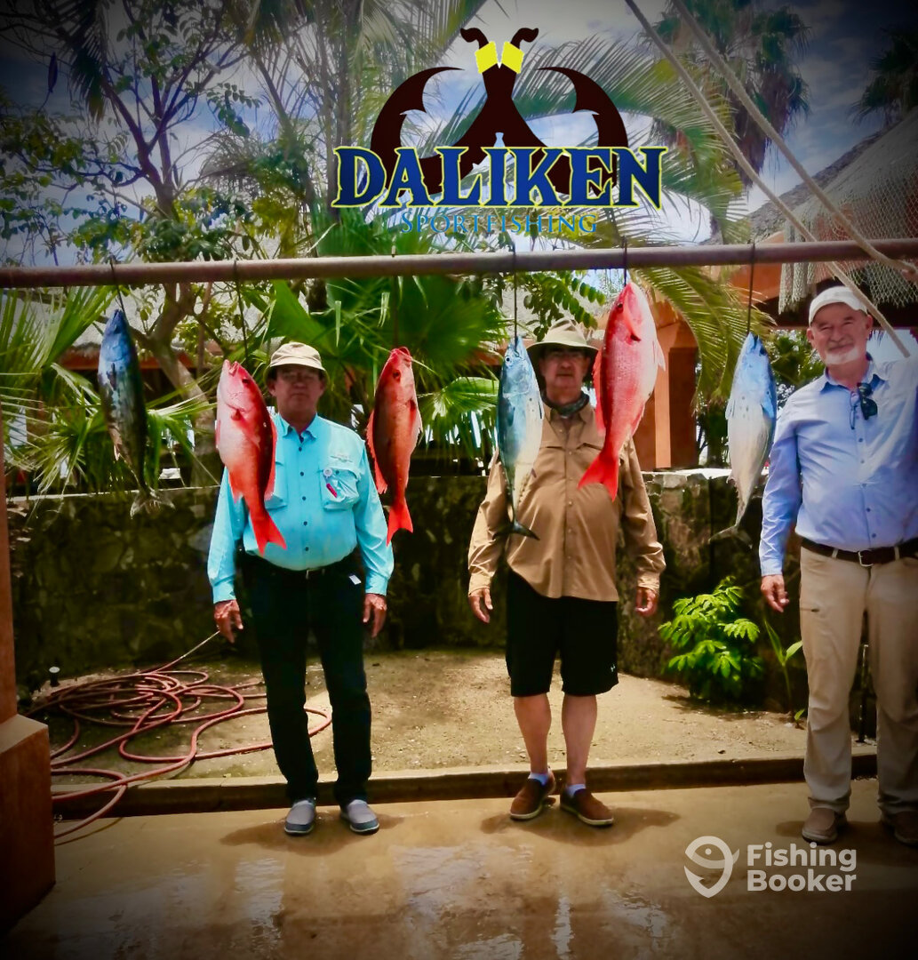 San Jose del Cabo Report Photo 0