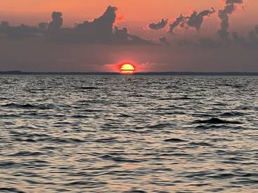 last few days report