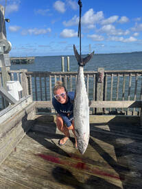 Stud King Mackerel