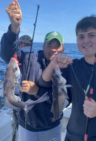 Gloucester Report Photo 1