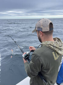 Gloucester Report Photo 1