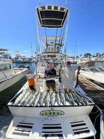 Yellowtail Limits!