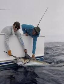 Bucket List Checkin’