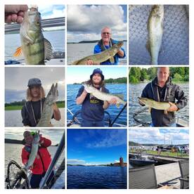Summer fishing in Stockholm 