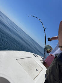 Gloucester Report Photo 1