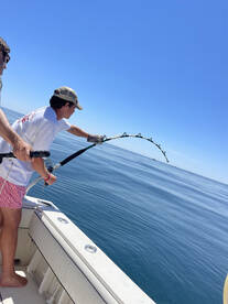 Gloucester Report Photo 2