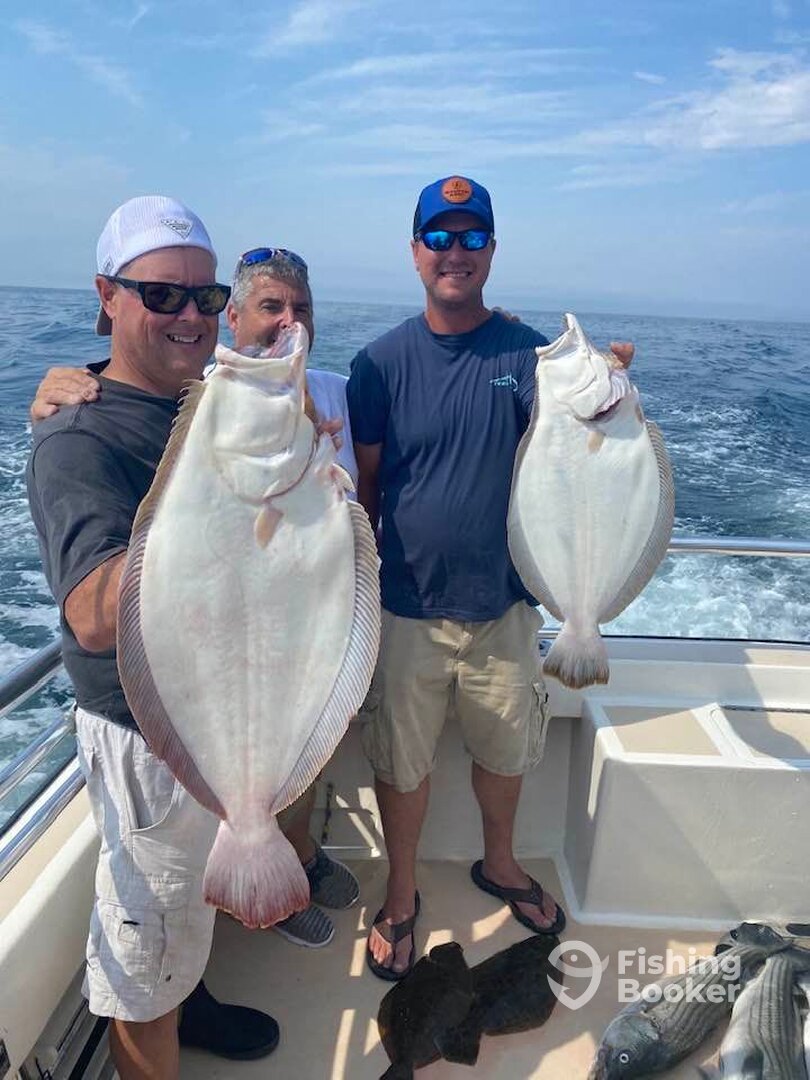 Montauk Report Photo 0