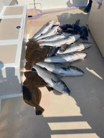 Montauk Report Photo 2