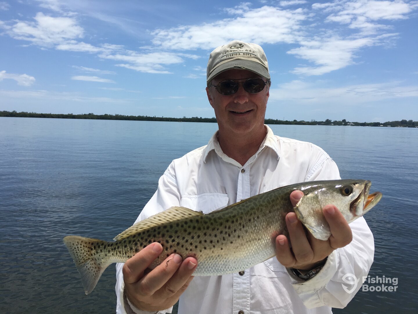Sarasota Report Photo 0