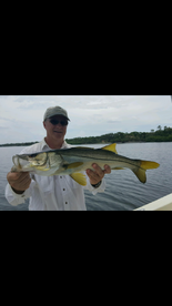 Sarasota Report Photo 1
