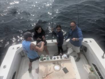 Neptune City Report Photo 2