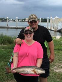 Abundant Kings and Limits on Cobia