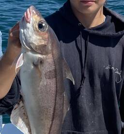 Father and Son Limit