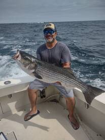 MONSTER STRIPED BASS!!!