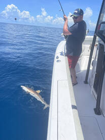Nokomis Report Photo 2