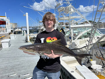 Happy camper with nice cobia