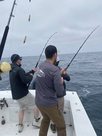 San Diego Report Photo 1