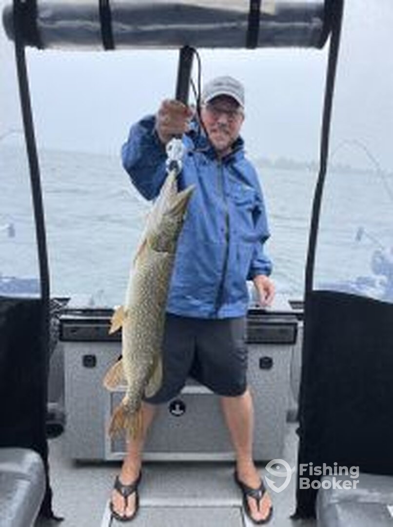 Cape Vincent Report Photo 0