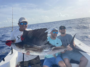 Mahis and sailfish