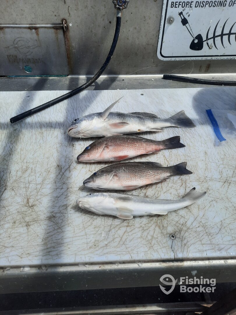 Port Canaveral Report Photo 0
