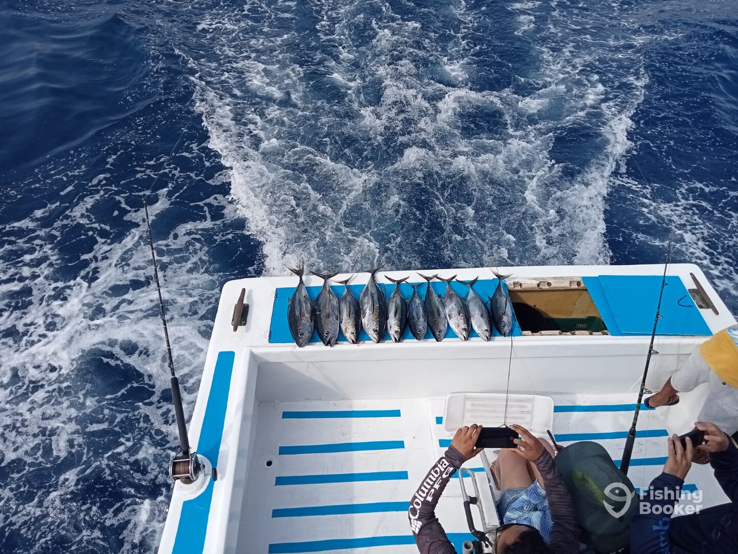 Manzanillo Report Photo 0