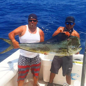 1st Place Mahi Mahi and Sailfish! 