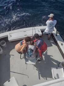 Wanchese Report Photo 2
