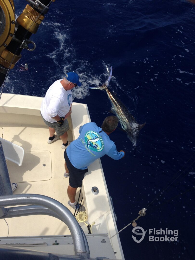 Kailua-Kona Report Photo 0