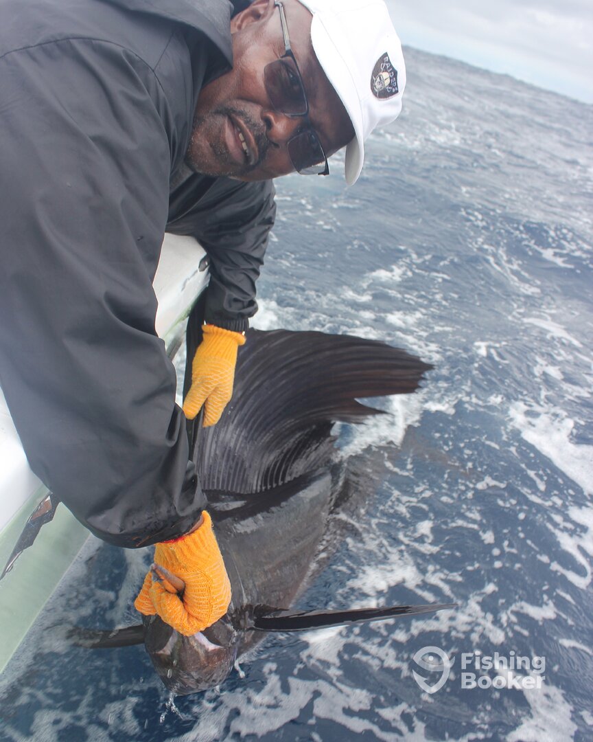 Quepos Report Photo 0