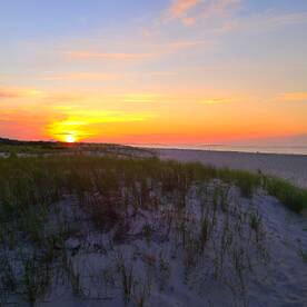 Stone Harbor Report Photo 1