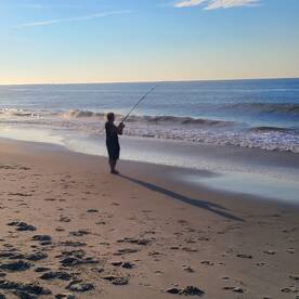 Stone Harbor Report Photo 2