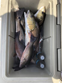 Jacksonville Report Photo 2