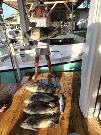 Old Town Report Photo 4