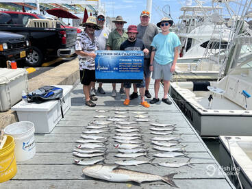 Cobia and Mackerels