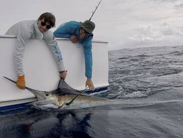 Behind on reports but going strong!!!