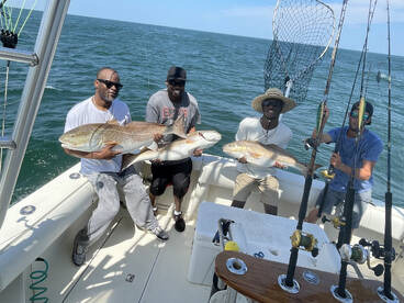 Virginia Beach Report Photo 1