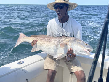 All ya want Drum day