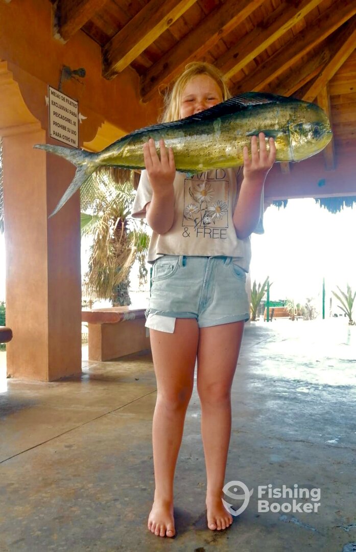 San Jose del Cabo Report Photo 0
