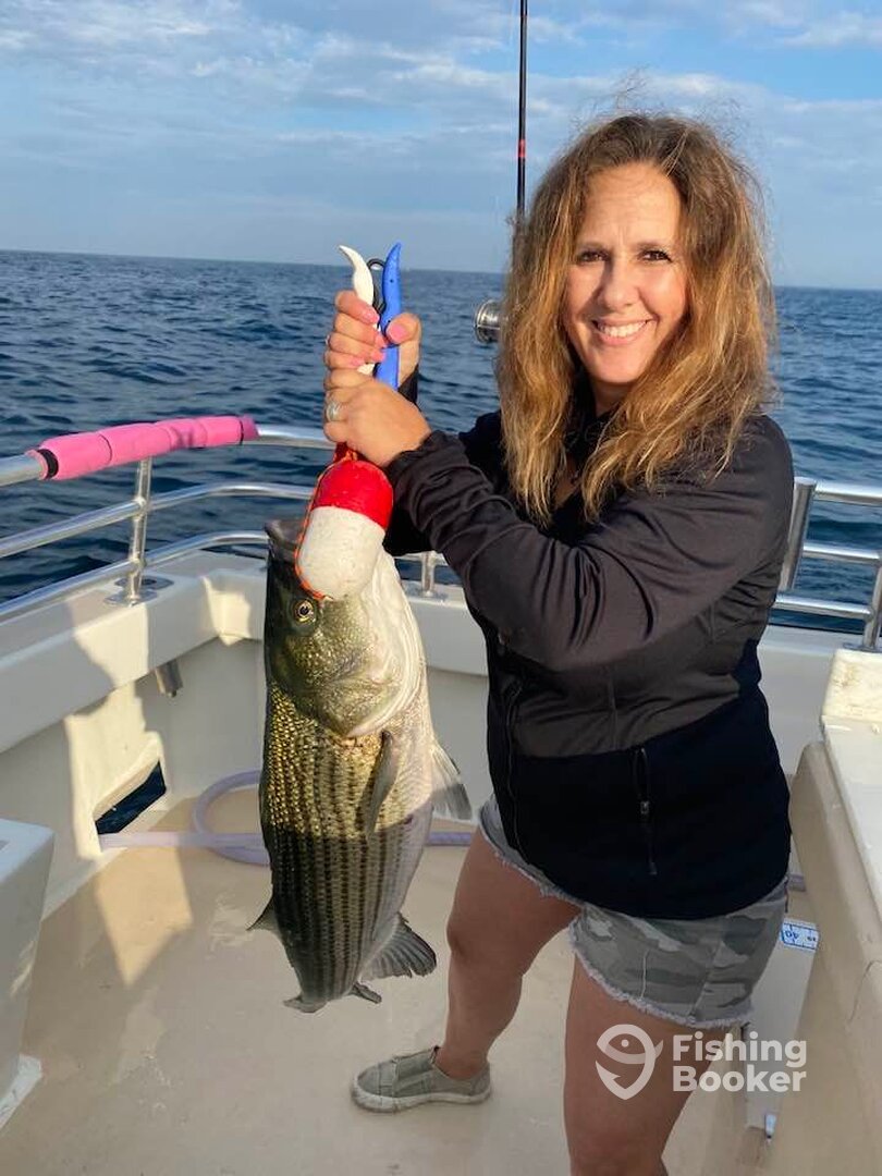 Montauk Report Photo 0