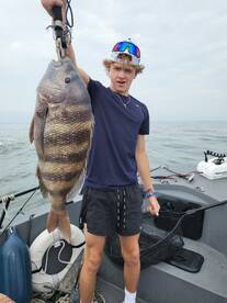 Another citation sheephead