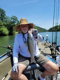 Harrison Report Photo 2