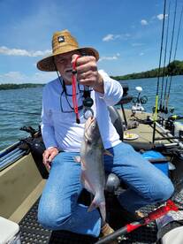 Harrison Report Photo 2