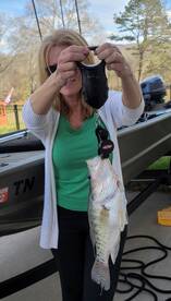 Harrison Report Photo 1